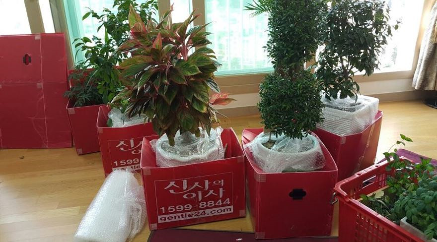 8화분포장1.jpg
