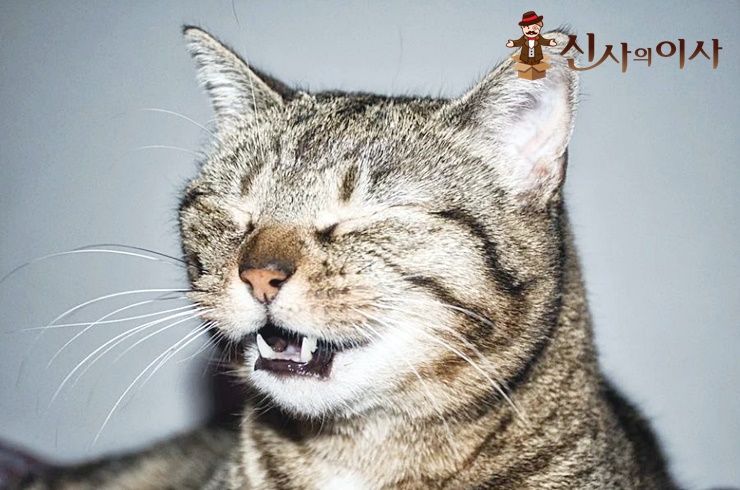 4.JPG