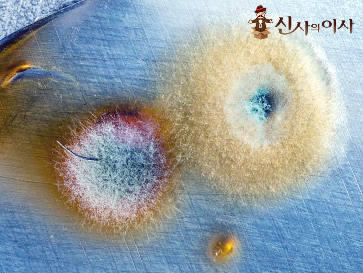 캡처.JPG