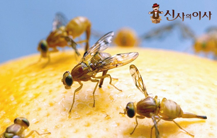 캡처.JPG